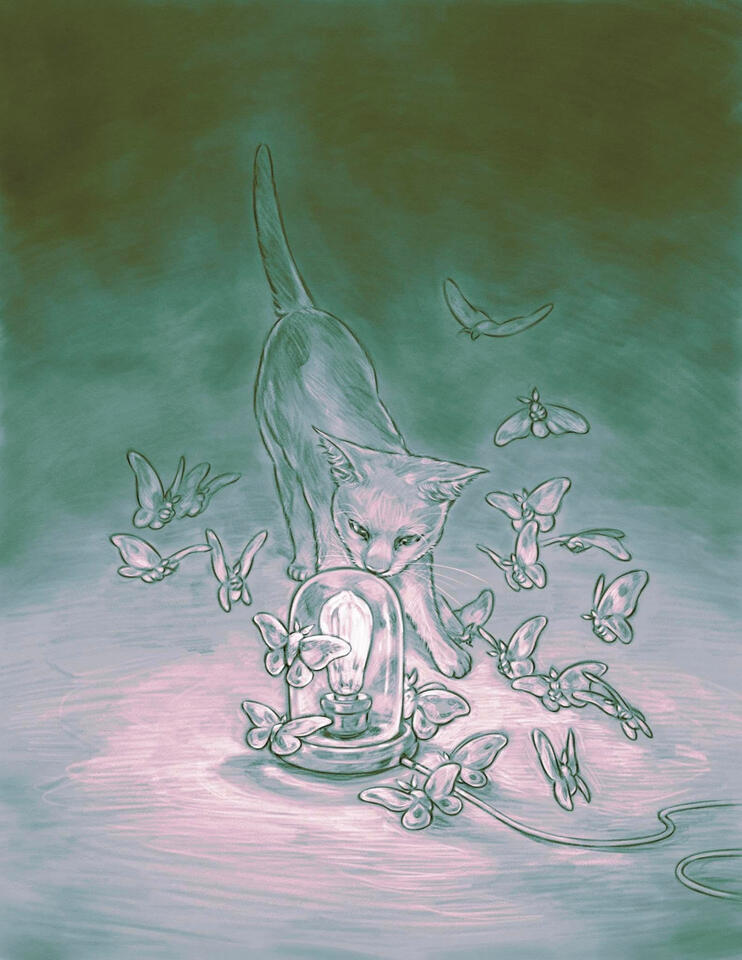 Digital drawing. 2025.