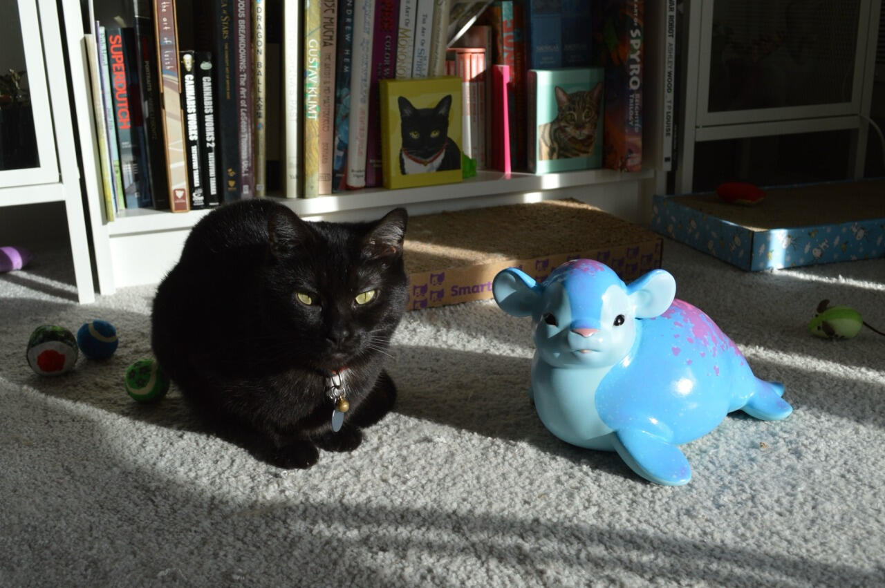 Spyro (left) and Bigbert (right)